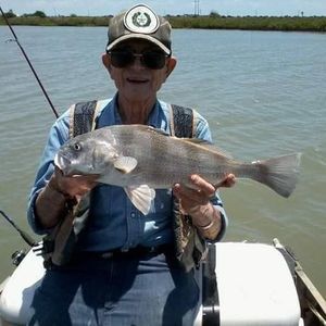 Meet your Posher, Roy